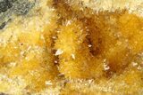 Intense Orange Calcite Crystal Cluster - Poland #311452-1